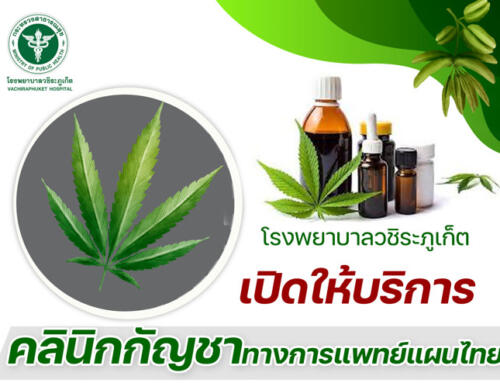 โรงพยาบาลวชิระภูเกิตเปิดให้บริการ คลินิกกัญชาทางการแพทย์แผนไทย