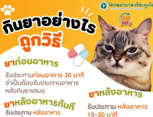 กินยาอย่างไรให้ถูกวิธี